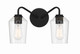 Shayna Two Light Vanity (56102-FB)