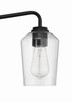 Shayna Four Light Vanity (56104-FB)