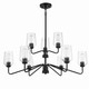 Shayna Nine Light Chandelier (56129-FB)