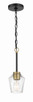 Avante Grand One Light Mini Pendant (56991-FBSB)