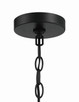 Avante Grand One Light Pendant (56992-FBSB)