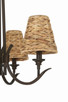 Kokomo Four Light Chandelier (58324-ABZ)