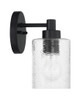 Lyndsey One Light Wall Sconce (60201-FB)