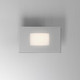 Path LED Step Light (58003FT)