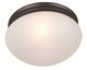 manufacturer_finish:Oil Rubbed Bronze|manufacturer_glass:Frosted