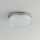 Edge LED Flush Mount (59762CLFTSN)