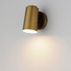 Spot Light LED Outdoor Wall Sconce (62001NAB)