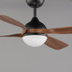 Bola 52" Ceiling Fan (88811WNBK)