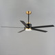Daisy 60" Ceiling Fan (88826BKGLD)
