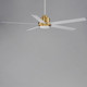 Daisy 60" Ceiling Fan (88826WTNAB)