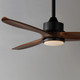 Woodwind 52" Ceiling Fan (88831BK)