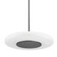 Hudson Valley - PI1896701L-BLNK - LED Pendant - Blyford - Black Nickel