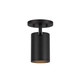 manufacturer_finish:Black