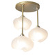 manufacturer_finish:Modern Brass