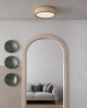 manufacturer_glass:White Acrylic Diffuser|color_temperature:2700K