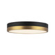 manufacturer_finish:Aged Gold/Matte Black|color_temperature:2700K
