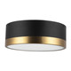 manufacturer_finish:Aged Gold/Matte Black