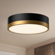 manufacturer_finish:Aged Gold/Matte Black