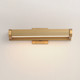 Braque LED Picture Light (E21491-GLD)