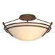 manufacturer_finish:Bronze|manufacturer_glass:Opal Glass (GG)|light_source:Incandescent