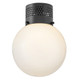 manufacturer_finish:Black