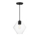 Maxim - 21336CLBK - One Light Pendant - Geode - Black