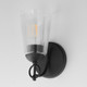 Jackson Hole One Light Wall Sconce (21391CLBK)