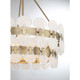 Bancroft Five Light Chandelier (1-3606-5-127)