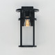 Clyde Vivex One Light Outdoor Wall Sconce (40625CLBK)