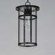 Clyde Vivex One Light Outdoor Pendant (40629CLBK)