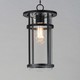 Clyde Vivex One Light Outdoor Pendant (40629CLBK)
