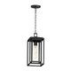 Maxim - 40669CDBK - One Light Outdoor Pendant - Cabana VX - Black