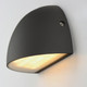 Pathfinder LED Outdoor Wall Sconce (52122ABZ)