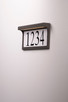 Address LED Outdoor Wall Sconce (53610BZ)