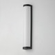 Halfpipe LED Outdoor Wall Sconce (55514WTBK)