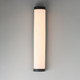 Halfpipe LED Outdoor Wall Sconce (55514WTBK)