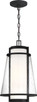 Nuvo Lighting - 60-6604 - One Light Hanging Lantern - Anau - Matte Black