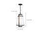 Anau One Light Hanging Lantern (60-6604)