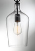 Hartley One Light Pendant (60-6749)