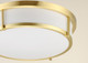 Rogue E26 Three Light Flush Mount (10270WTSBR)