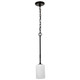 Nuvo Lighting - 60-8215 - One Light Mini Pendant - Liam - Matte Black