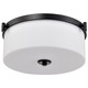 Nuvo Lighting - 60-8217 - Three Light Flush Mount - Liam - Matte Black
