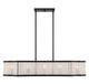 Parkside Five Light Linear Chandelier (V6-L1-2902-5-89)