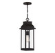 Lighting One E - V6-L5-2937-13 - One Light Outdoor Hanging Lantern - Drexel - English Bronze