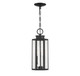 Lighting One E - V6-L5-5103-BK - Two Light Outdoor Hanging Lantern - Hawthorne - Black