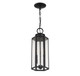 Hawthorne Two Light Outdoor Hanging Lantern (V6-L5-5103-BK)