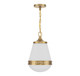 Endura One Light Pendant (V6-L7-7950-1-322)