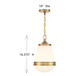 Endura One Light Pendant (V6-L7-7950-1-322)