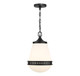 Lighting One E - V6-L7-7950-1-89 - One Light Pendant - Endura - Matte Black