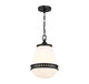 Endura One Light Pendant (V6-L7-7950-1-89)
